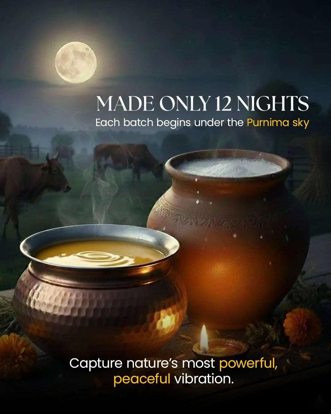 Full Moon Golden Ghee (Grain-fed)