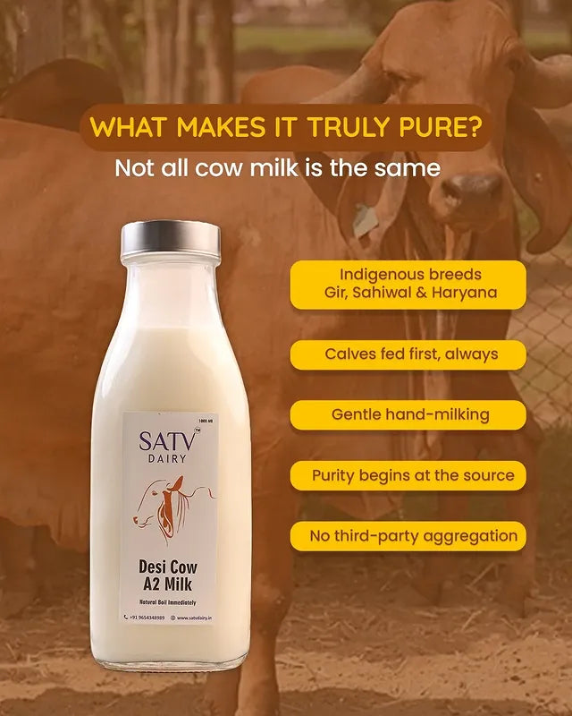 Desi Cow A2 Milk (Available in Delhi NCR Only)