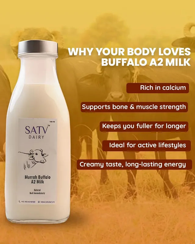 Murrah Buffalo A2 Milk (Available in Delhi NCR Only)