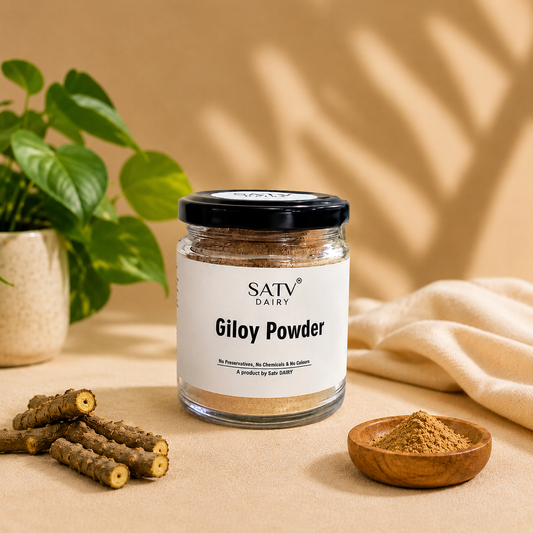Giloy Powder