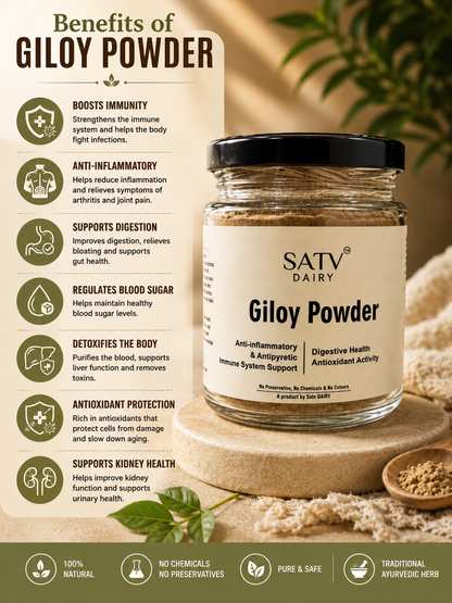 Giloy Powder