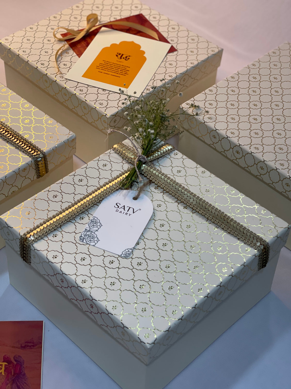 The Ivory Signature Collection