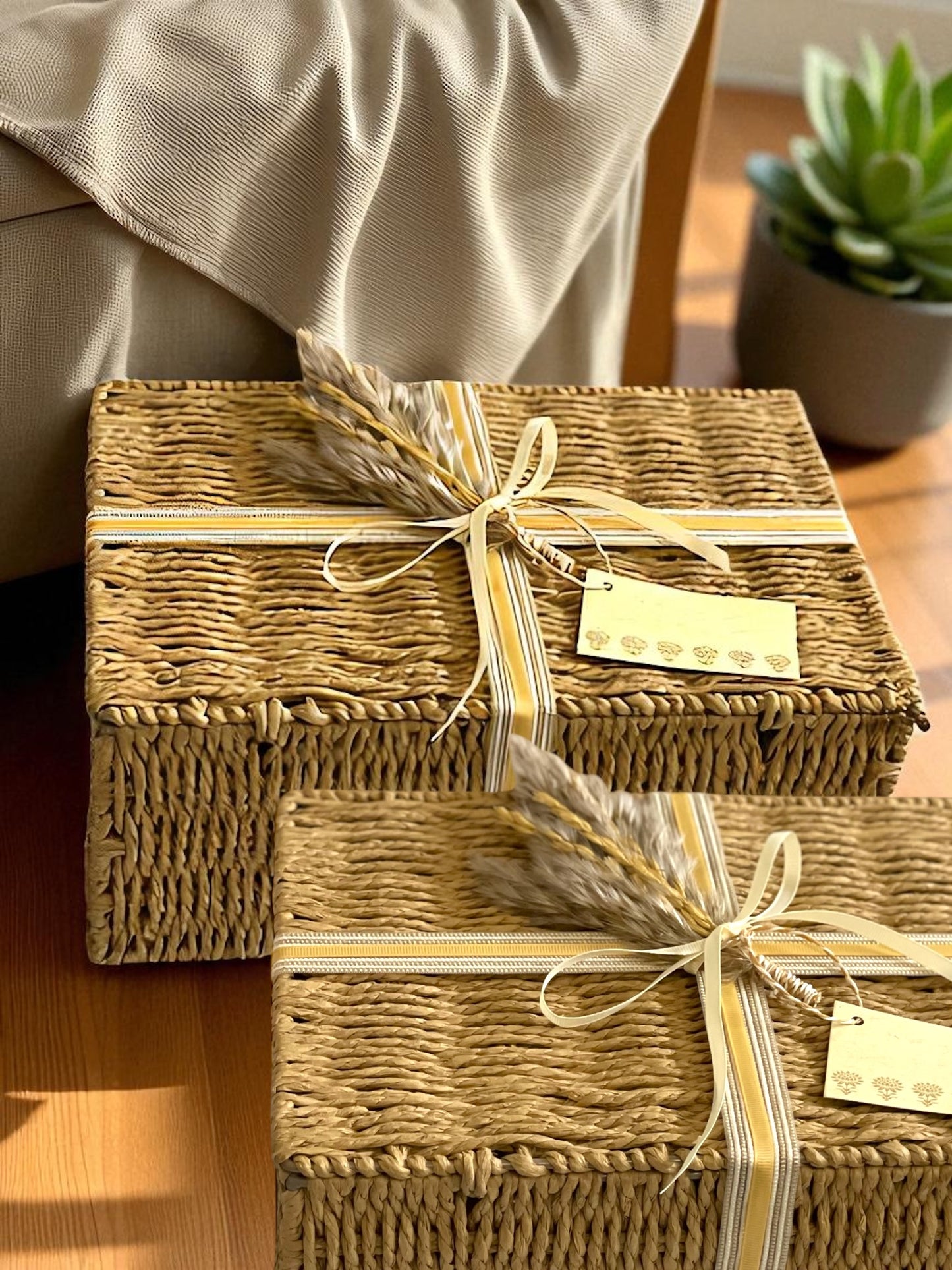 Rani Bagh Collection | Protein Rich | Immunity | Hamper