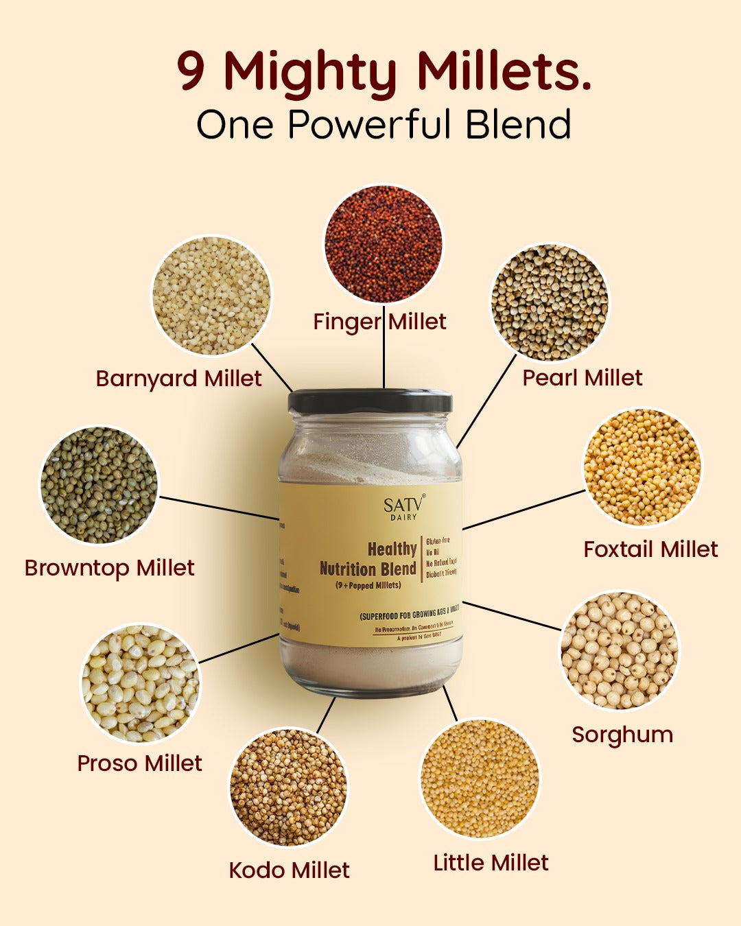 Satv Dairy Healthy Nutrition Blend (9+ Popped Millets)